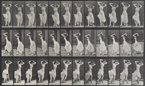 Locomoción animal Placa 190 de Eadweard Muybridge